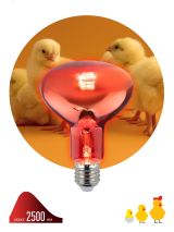 Инфракрасная лампа E27 для обогрева животных и освещения 100 Вт ИКЗК 230-100 R95 E27 Б0062000 ЭРА