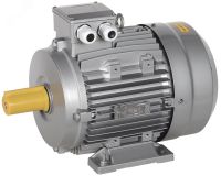 Электродвигатель трехфазный АИС 160L6 660В 11кВт 1000об/мин 1081 DRIVE AIS160-L6-011-0-1010 ONI