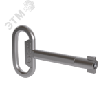 Ключ металлический  с двойной бородкой 3мм R5CE230 DKC