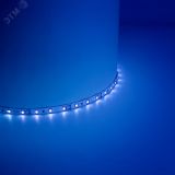 Лента светодиодная LEDх60/м 5м 4.8w/m 12в IP65 синий 27677 FERON