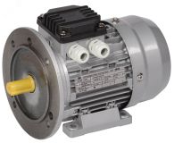 Электродвигатель трехфазный АИР 56B2 380В 0,25кВт 3000об/мин 2081 DRIVE DRV056-B2-000-3-3020 ONI