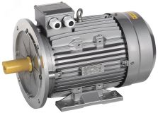 Электродвигатель трехфазный АИС 200LB6 660В 22кВт 1000об/мин 2081 DRIVE AIS200-B6-022-0-1020 ONI