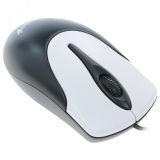 Мышь NetScroll 100 V2 оптическая, USB, чёрный/серебристый 31010001401 Genius