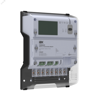 TORESCO Счетчик электрической энерги TE301 1/1-5(100)-NRLC-ORS2FPG TR-TE301-100-1-RS2FPG IEK