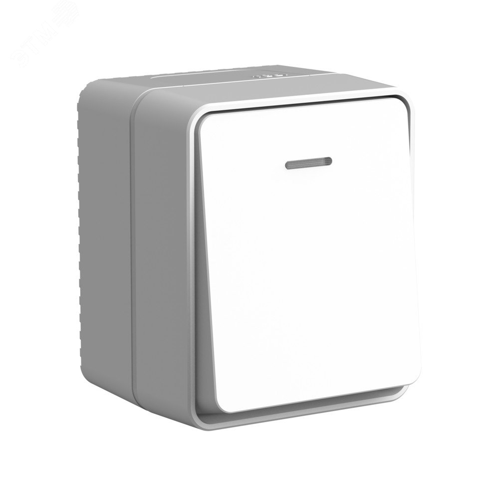 AtlasDesign PROFI IP54 открытой установки 1-клавишный выключатель с подсветкой 10 АХ, серый ATN543013 Systeme Electric