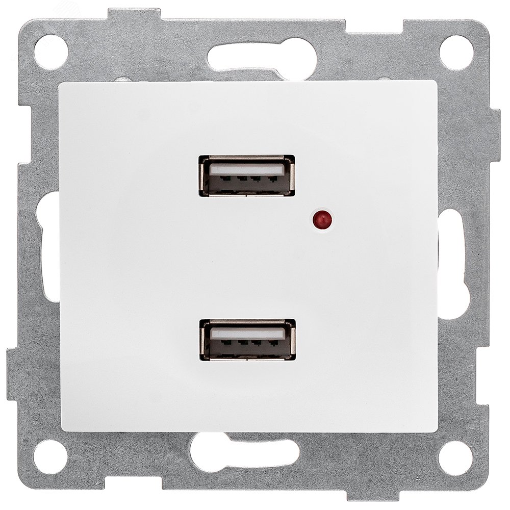 Bravo Розетка USB, двойная, скрытая установка.  жемчуг С10USB2-028 GUSI ELECTRIC