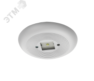 Светильник ДВО-92-1х3-133 Eye EM3 840 1210413133 Ардатовский светотехнический завод (АСТЗ)