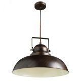 Светильник MARTIN A5213SP-1BR Arte Lamp