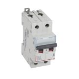 Выключатель автоматический двухполюсный 32А C DX3-E 6кА 407280 Legrand