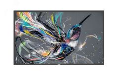 Информационный дисплей 55'' 55BDL3550Q/00 Philips Display