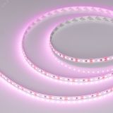 Лента RT-A120-8мм 12V Pink (9.6 W/m, IP20, 2835, 5м) (Открытый) 015897(2) Arlight