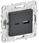 SKANDY Розетка USB A+C 3,1А SK-R14T титан IEK SK-U22-D31-K48 IEK