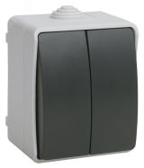 ФОРС Выключатель двухклавишный наружный IP54 EVS20-K03-10-54-DC IEK