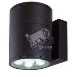 Светильник светодиодный ДБУ-10Вт IP54             DSW10-06-C-01 300304 Новый Свет