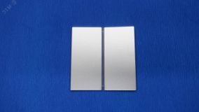 Клавиши для системы KNX, 2-группы, благородная сталь ES2402TSA JUNG