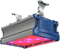 Светильник светодиодный ФИТО-42,1W IP67 106.7мкмоль/с КСС Г UN УТ000010371 Технологии Света