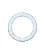 Лампа люминесцентная кольцевая ЛЛ 32вт 32/840 С G10q EN белая Osram 4008321581143 LEDVANCE