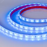 Лента герметичная RTW-PFS-B60-13mm 24V Blue (14.4 W/m, IP68, 5060, 5m) (, 14.4 Вт/м, IP68) 036171 Arlight