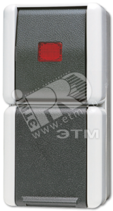 Комбинация - розетка и контрольный выключатель  для накладного монтажа IP44 876KOW JUNG