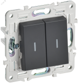 SKANDY Выключатель 2-клавишный проходной с индикацией 10А SK-V10T титан IEK SK-V22-1-10-K48 IEK