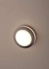 Декоративная подсветка светодиодная WL25 Б0034624 ЭРА