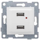 GUSI Ugra механизм розетки USB,  двойной,  скрытая  установка. Цвет  белый. С11USB2-001 GUSI ELECTRIC