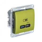 GLOSSA USB РОЗЕТКА тип-C 65W высокоскор.заряд. QC, PD, механизм, ФИСТАШКОВЫЙ GSL001027 Systeme Electric