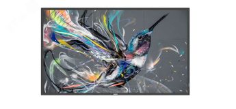 Информационный дисплей 86'' 86BDL3511Q/00 Philips Display