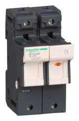 РАЗЪЕД-ПРЕД. 50A.УКАЗ.СРАБ.1Р+N.14Х51 DF141NV Schneider Electric