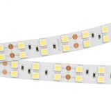 Лента LED RT 2-5000 24V Cool 8K 2x2 (5060, 600 LED, LUX) (ARL, 28.8 Вт/м, IP20) 013756 Arlight