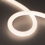 Лента герметичная MOONLIGHT-TOP-FP-X1088-D25мм 24V Day4000 (20 W/m, IP65, 5м, wire x1) (Вывод кабеля прямой) 038866 Arlight