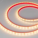 Лента герметичная RTW-PFS-A60-11mm 12V Warm3000 (4.8 W/m, IP68, 2835, 5m) (, -) 033783 Arlight