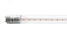 Лампа светодиодная LED 8Вт Т8 для растений прозрачная 600 мм G13 5025899 JazzWay