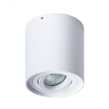 Светильник FALCON A5645PL-1WH Arte Lamp