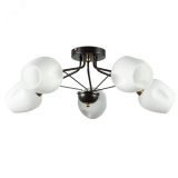 Люстра BRIGHTON A2706PL-5CK Arte Lamp