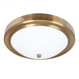 Потолочный светильник JAMES A4049PL-3PB Arte Lamp