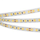 Лента RT-B96-10мм 24V Warm3000 (23 W/m, IP20, 5060, 5м) (Открытый) 028606(2) Arlight