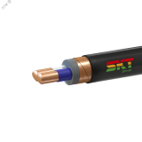 Кабель силовой ВВГЭ 2х10ок(N)-1 ТРТС