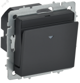 BRITE Выключатель карточный 30А ВС10-1-8-БрГ графит IEK BR-V11-0-10-K53 IEK
