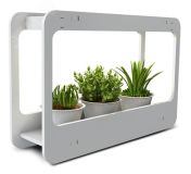 Светильник светодиодный декоративный PMG 002 LED 14w 4000K ( подставка для цветов) jazzway 5009554 JazzWay