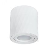 Точечный накладной светильник FANG A5559PL-1WH Arte Lamp
