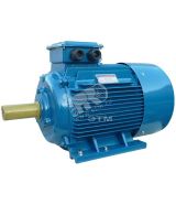 Электродвигатель 5АИ 200 М2 37/3000  IM 1001 01.01.213478 Элком