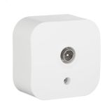Quteo Розетка телевизионная TV наружная белая 782215 Legrand/Daccord