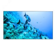 Информационный дисплей 55'' PK555FFLN Eliteboard
