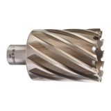 Фреза кольцевая D47х50 мм 4932371774 Milwaukee