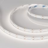 Лента RT-A240-10mm 24V Day5000 (19.2 W/m, IP20, 3528, 5m) (, Открытый) 040543 Arlight