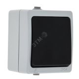 Выключатель Венеция кнопочный 10А IP54 серый EVV10-045-30-54 EKF