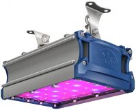 Светильник светодиодный ФИТО-46W IP67 106.8мкмоль/с КСС Г80 VR УТ000010372 Технологии Света