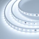 Лента герметичная ARL-PV-B54-15.5mm 230V White6000 (8 W/m, IP65, 5060, 10m) (, -) 029403(2) Arlight