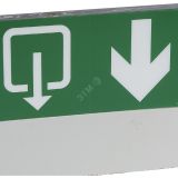 U34 Пиктограмма Стрелка вниз 661801 Legrand